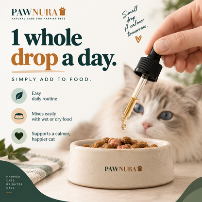 Daily Calm Drops For Cats